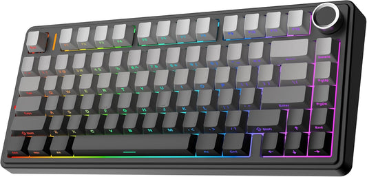 EPOMAKER X Aula F75 Teclado Mecánico Gasket, Para Juegos 75% Intercambiable En Caliente, Acolchado De 5 Capas, Botones, Bluetooth, Inalámbrico, USB-C, RGB (Gradiente Negro, Interruptor LEOBOG Reaper)